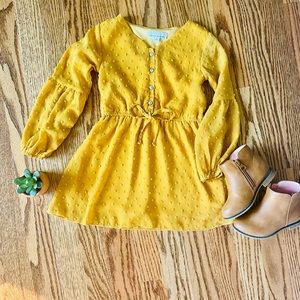 Bailey’s Blossoms 3T dress